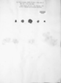 Aleuria aurantia image